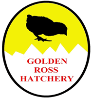 Golden Ross Hatchery